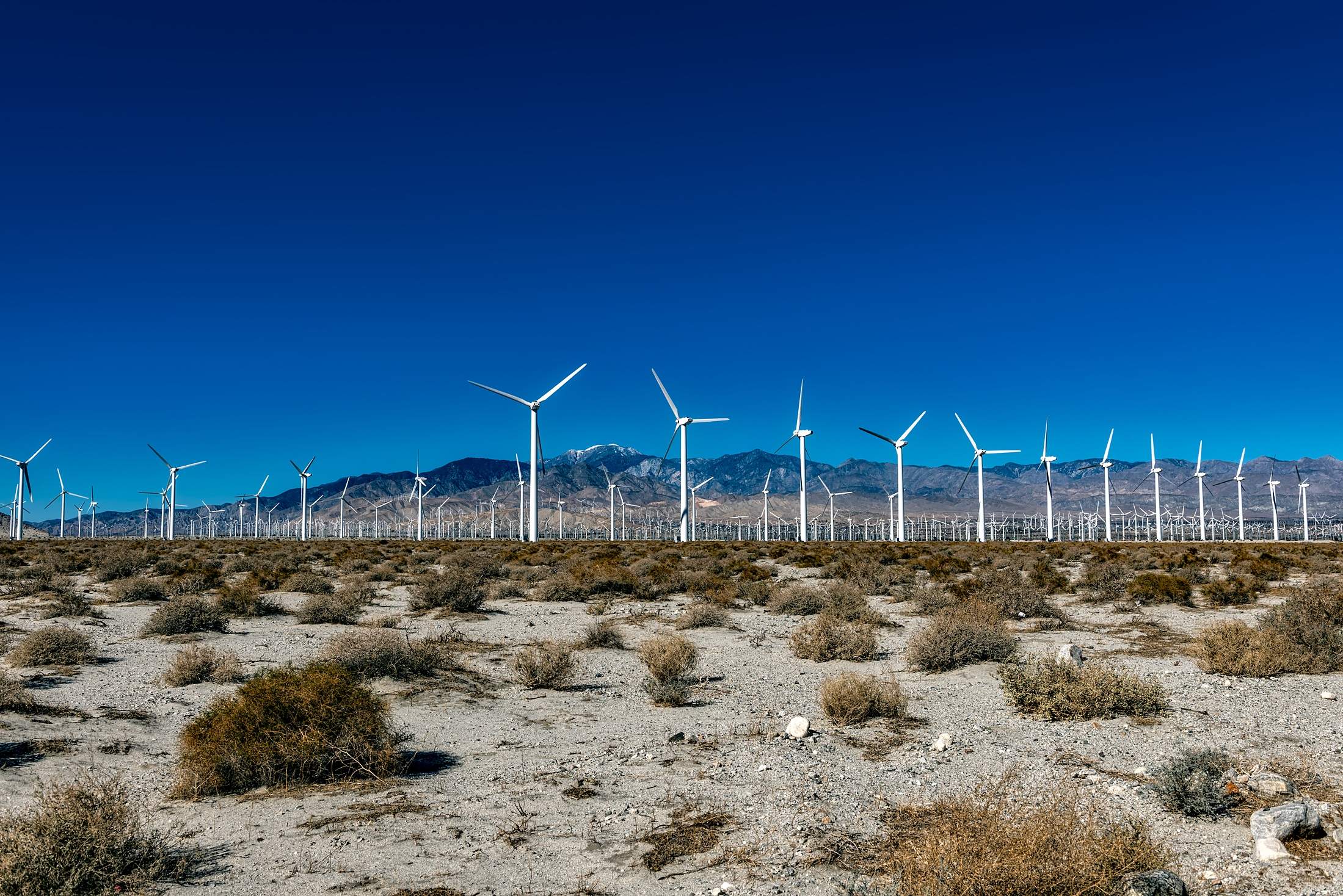 Palm Springs, carbon-free energy, wind farm