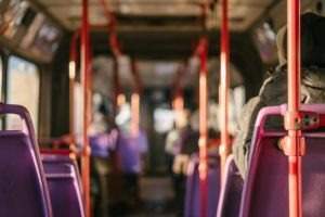 Free public transport: Does it benefit the environment in the long run?