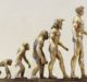 Evolutionary AI: Why leaders must become AI-aware or risk their own Lee Sedol moment