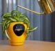Six weird gadgets at CES 2020: Featuring a smart plant pot and ‘microwave for cooling’