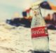 Coca-Cola environment boss heeds caution over shift away from plastic