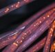 Bulk Fiber, WFN launch feasibility study for Leif Erikson cable project